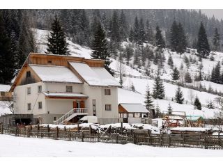 Pensiunea Poarta Calimani, Saru Dornei - 1