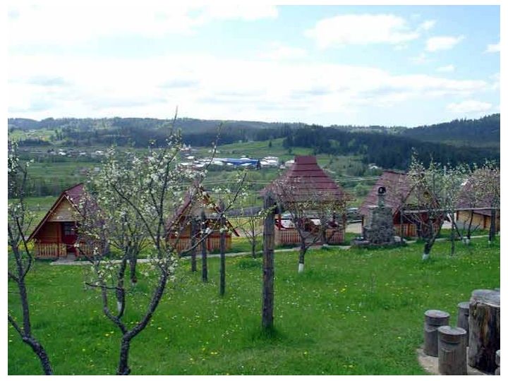 Pensiunea Poiana, Dorna Candrenilor - imaginea 