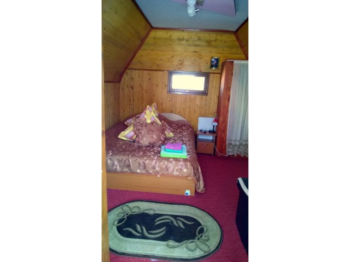 Pensiunea Casa Florea, Poiana Stampei - imaginea 
