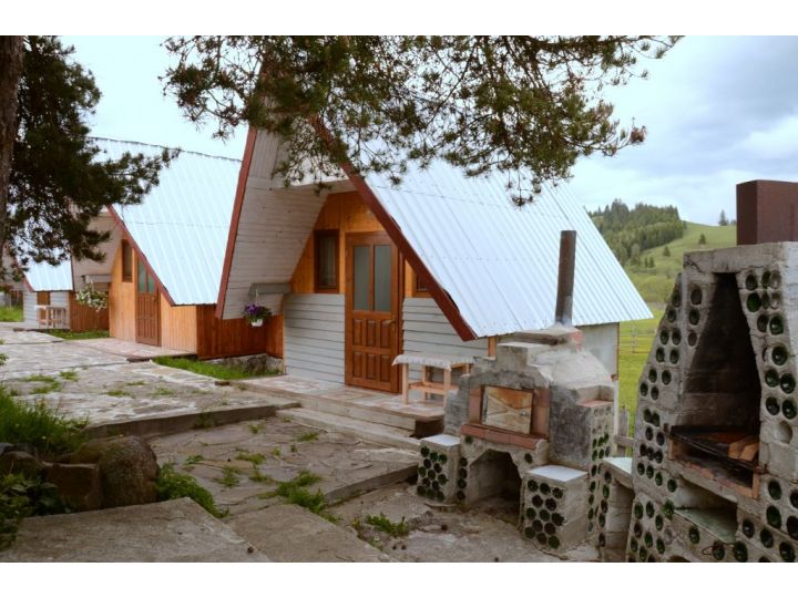 Pensiunea Casa Florea, Poiana Stampei - imaginea 