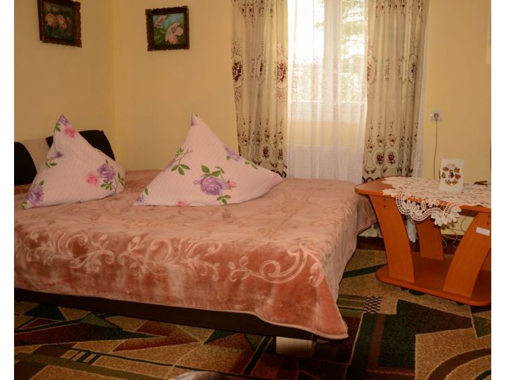 Pensiunea Casa Florea, Poiana Stampei - imaginea 