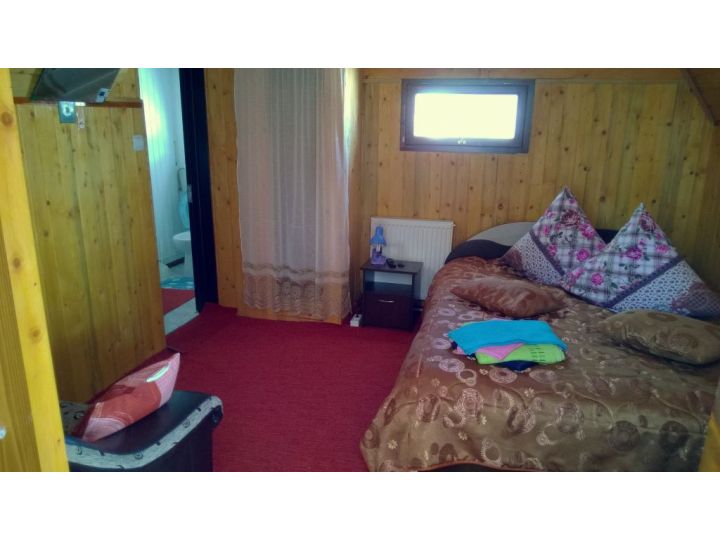 Pensiunea Casa Florea, Poiana Stampei - imaginea 