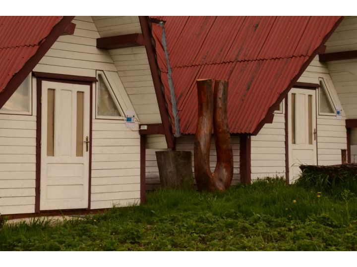 Pensiunea Casa Florea, Poiana Stampei - imaginea 