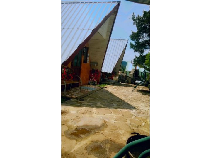 Pensiunea Casa Florea, Poiana Stampei - imaginea 