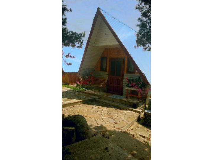 Pensiunea Casa Florea, Poiana Stampei - imaginea 