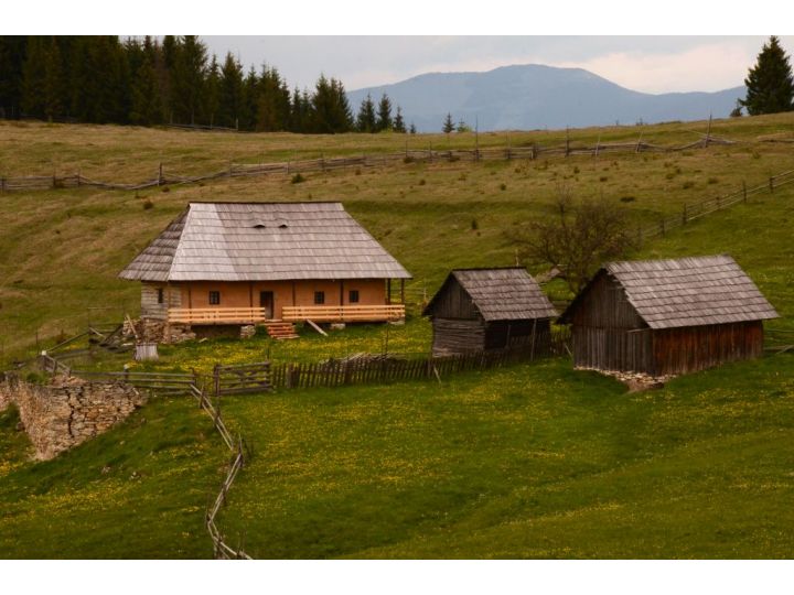 Pensiunea Casa Florea, Poiana Stampei - imaginea 