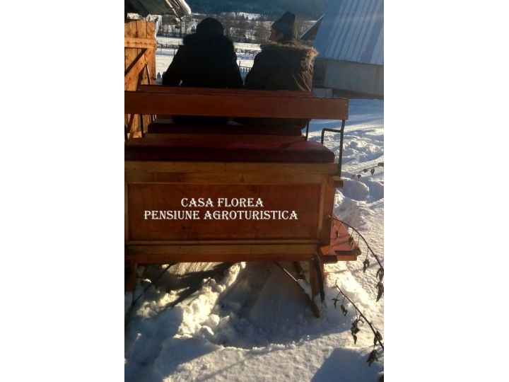 Pensiunea Casa Florea, Poiana Stampei - imaginea 