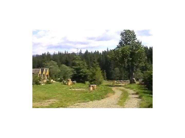 Pensiunea Casa Paltin, Poiana Stampei - imaginea 