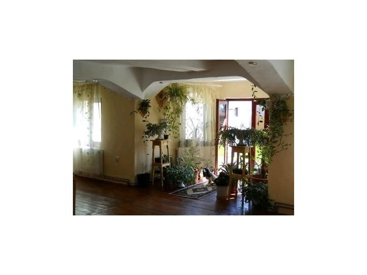 Pensiunea Casa Lucian, Pojorata - imaginea 