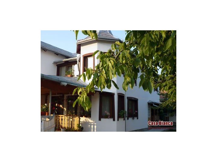 Pensiunea Casa Bianca, Vama - imaginea 