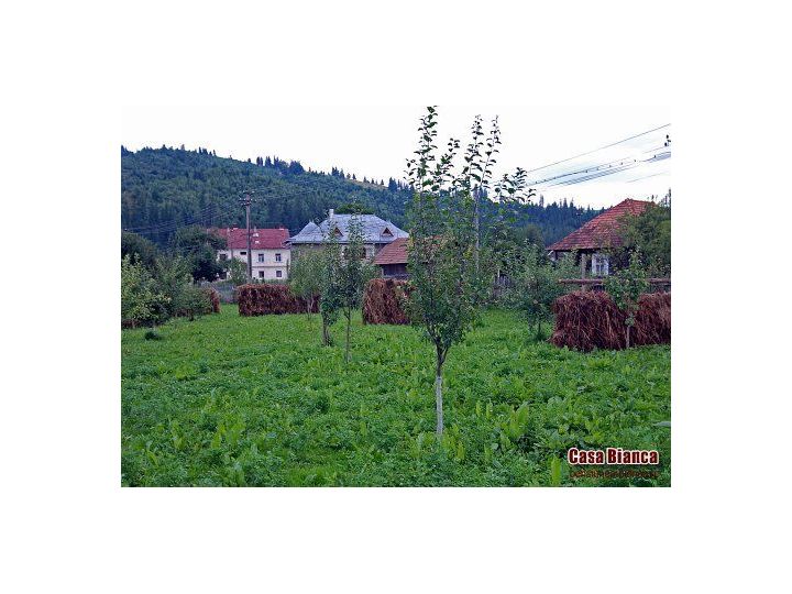Pensiunea Casa Bianca, Vama - imaginea 