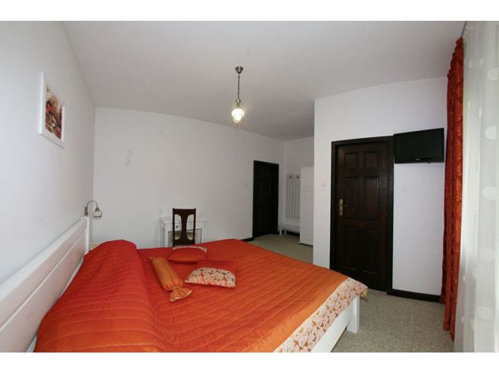 Pensiunea Casa Elvira, Vama - imaginea 