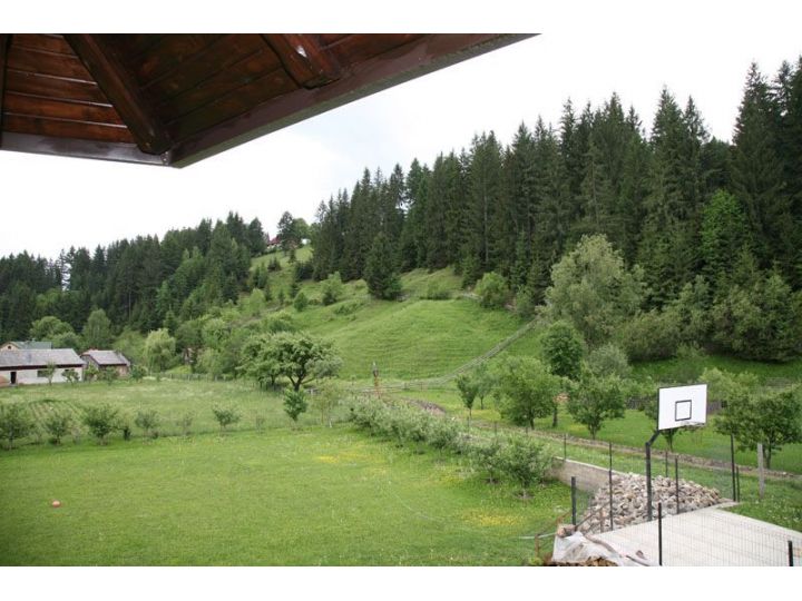 Pensiunea Casa Elvira, Vama - imaginea 