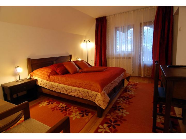 Pensiunea Casa Elvira, Vama - imaginea 