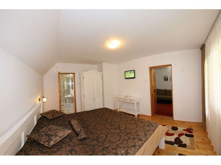 Pensiunea Casa Elvira, Vama - imaginea 