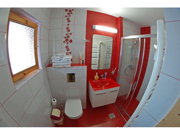 Pensiunea Casa Elvira, Vama - imaginea 