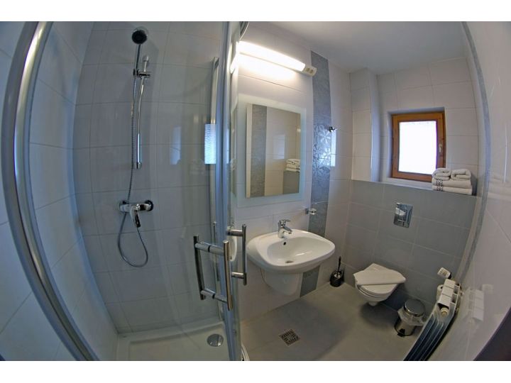 Pensiunea Casa Elvira, Vama - imaginea 