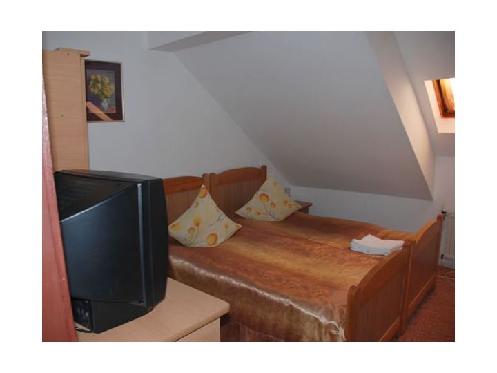 Pensiunea Casa Lucretia, Vama - imaginea 