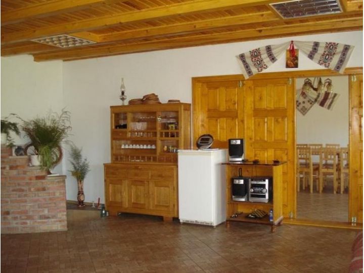 Pensiunea Eco Hunea, Panaci - imaginea 