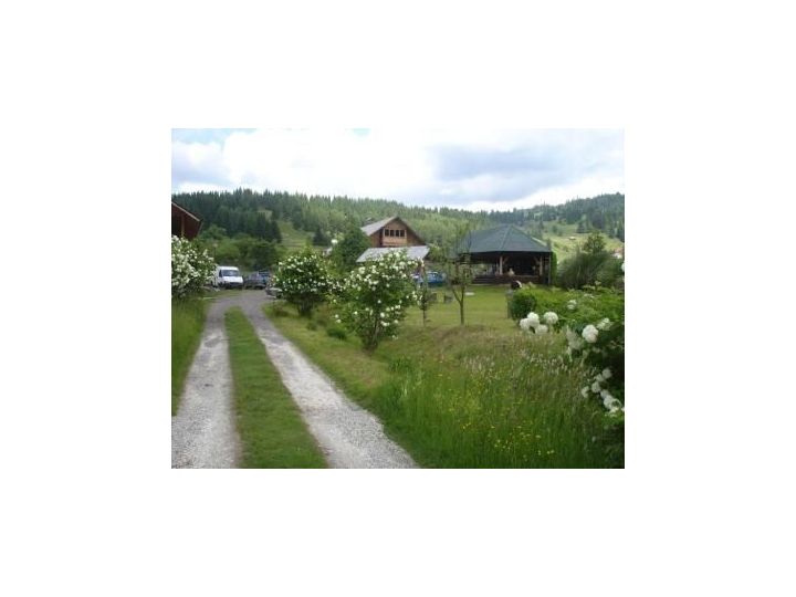 Pensiunea Eco Hunea, Panaci - imaginea 