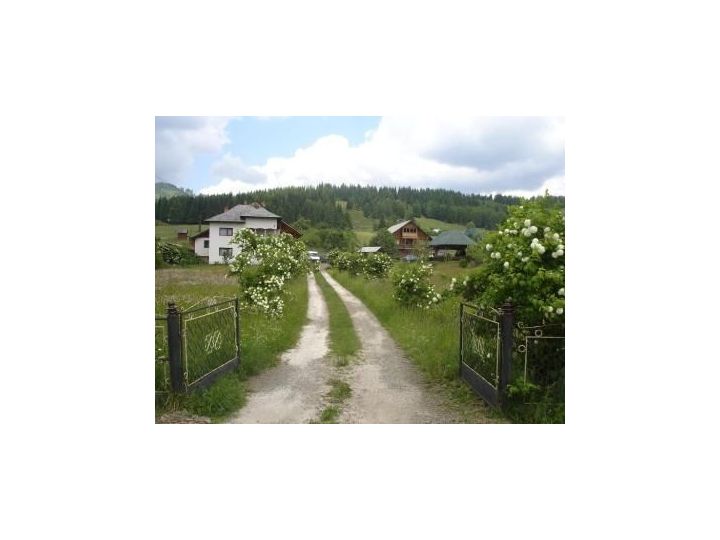Pensiunea Eco Hunea, Panaci - imaginea 