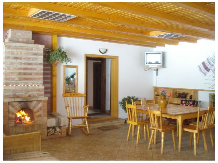 Pensiunea Eco Hunea, Panaci - imaginea 