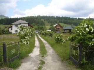 Pensiunea Eco Hunea, Panaci - 5
