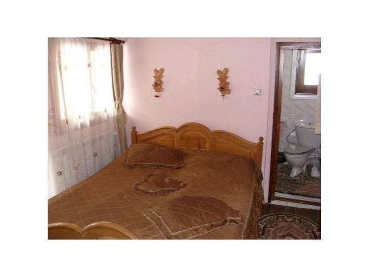 Pensiunea Vila Lulu, Vatra Moldovitei - imaginea 