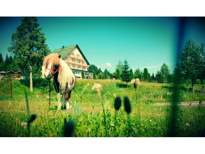 Pensiunea Poiana Bucovat, Varfu Dealului - imaginea 