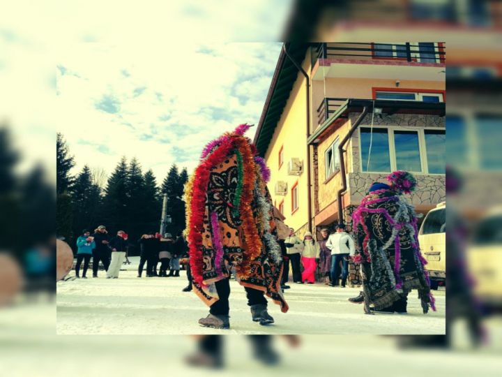Pensiunea Poiana Bucovat, Varfu Dealului - imaginea 