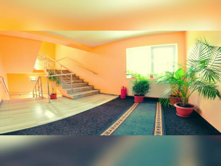Pensiunea Poiana Bucovat, Varfu Dealului - imaginea 