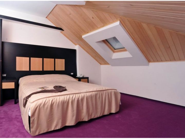 Hotel Toaca Bellevue, Gura Humorului - imaginea 