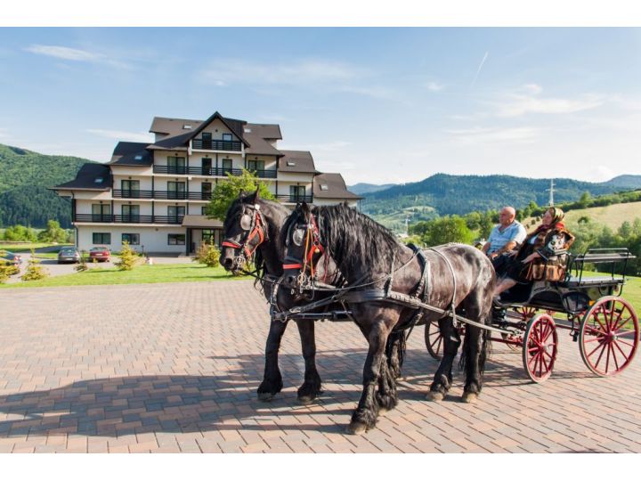 Hotel Toaca Bellevue, Gura Humorului - imaginea 