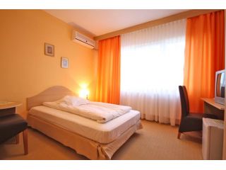 Vila Elisabeta, Alba-Iulia - 4