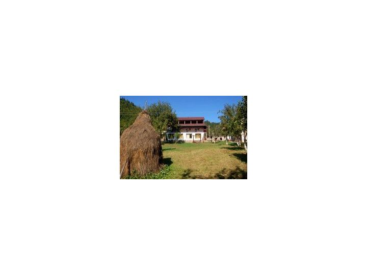 Pensiunea Andra, Albac - imaginea 