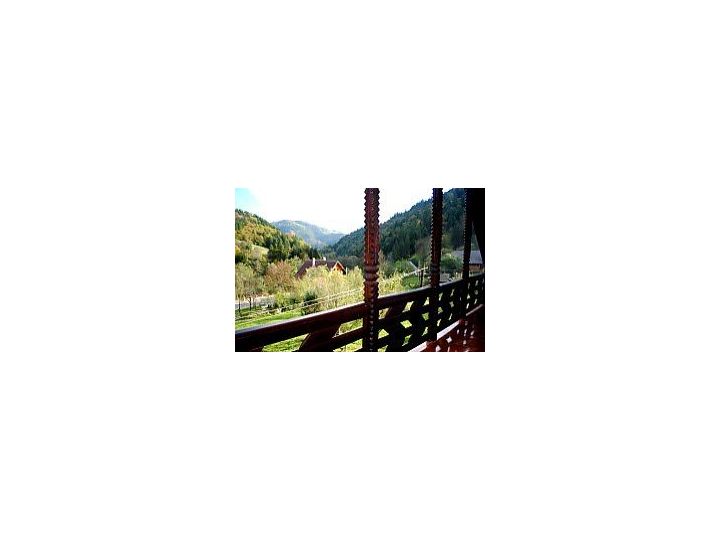 Pensiunea Andra, Albac - imaginea 