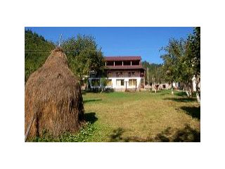 Pensiunea Andra, Albac - 2