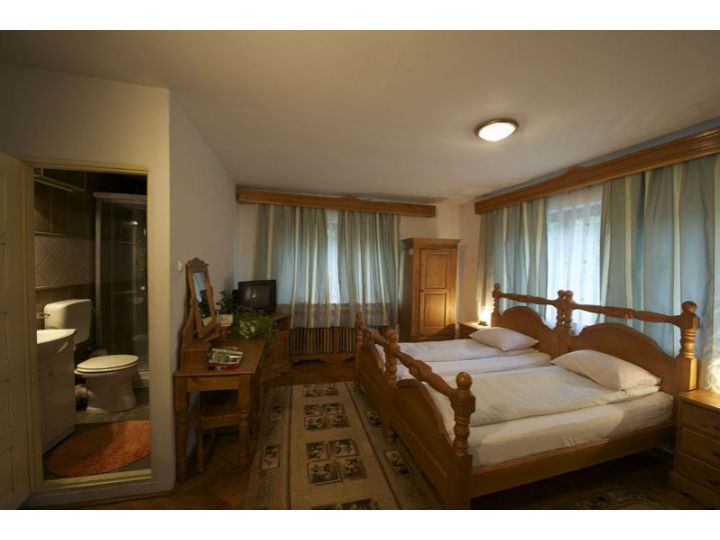 Pensiunea Aurora, Albac - imaginea 