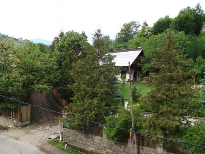 Pensiunea Aurora, Albac - imaginea 