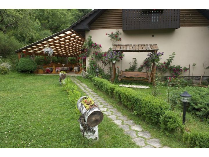 Pensiunea Aurora, Albac - imaginea 