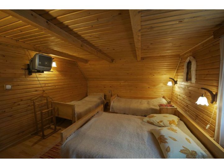 Pensiunea Aurora, Albac - imaginea 