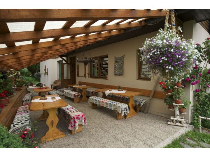 Pensiunea Aurora, Albac - imaginea 