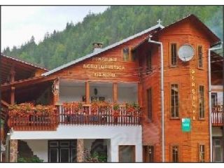 Pensiunea Danciu, Albac