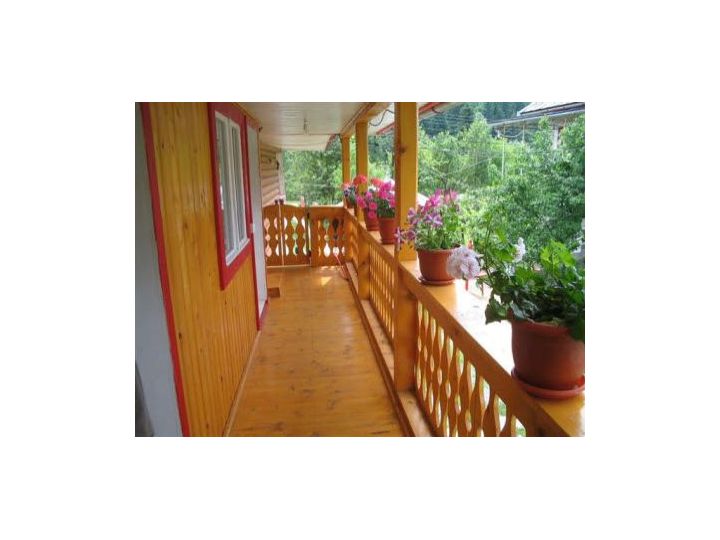 Pensiunea Vila Rustica, Albac - imaginea 