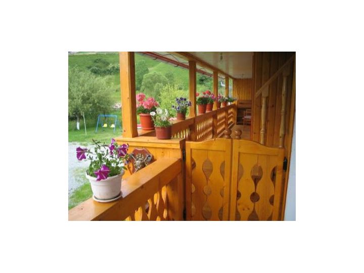 Pensiunea Vila Rustica, Albac - imaginea 