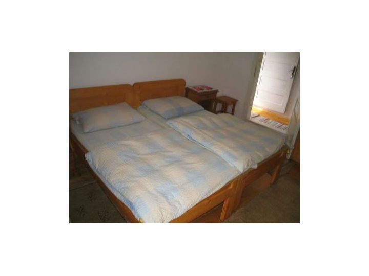 Pensiunea Vila Rustica, Albac - imaginea 