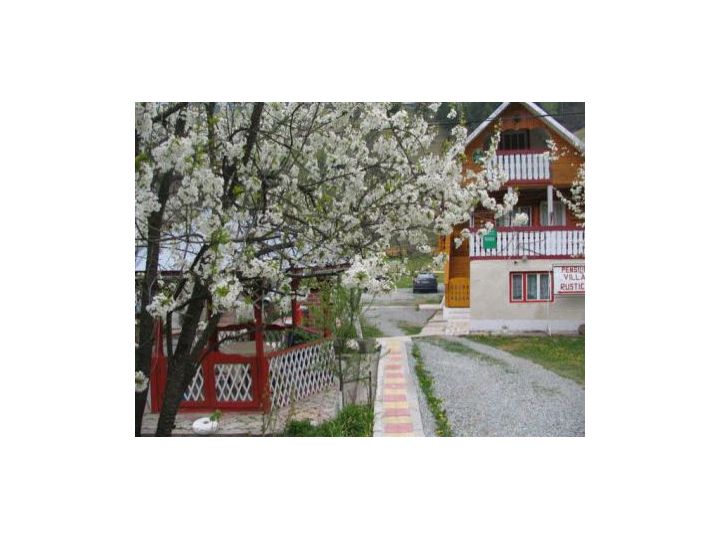 Pensiunea Vila Rustica, Albac - imaginea 