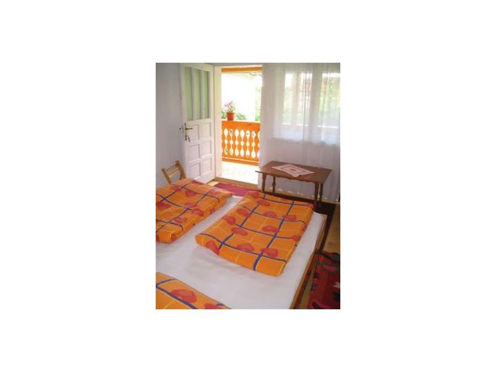 Pensiunea Vila Rustica, Albac - imaginea 