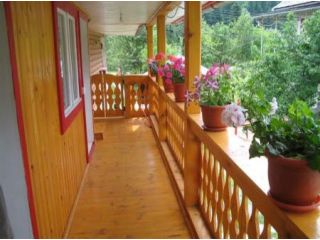 Pensiunea Vila Rustica, Albac - 2