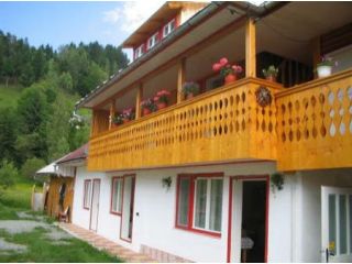 Pensiunea Vila Rustica, Albac - 4